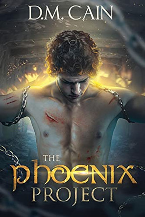 The Phoenix Project by D M Cain 9784867509302