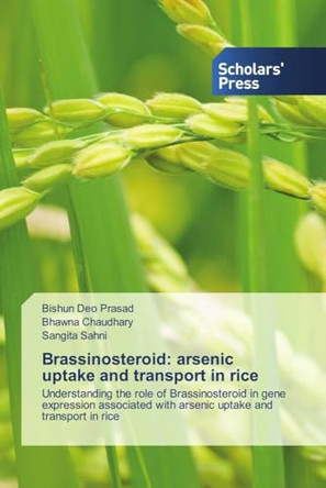 Brassinosteroid: arsenic uptake and transport in rice by Bishun Deo Prasad 9786206774396