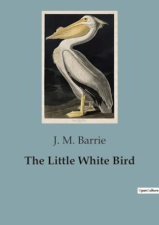 The Little White Bird by J M Barrie 9791041951987