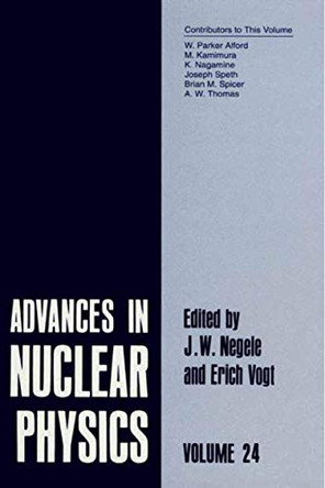 Advances in Nuclear Physics: Volume 24 by J. W. Negele 9780306457579