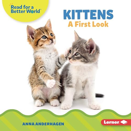 Kittens: A First Look by Anna Anderhagen 9798765626382