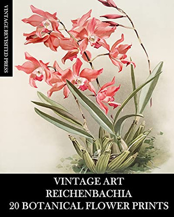 Vintage Art: Reichenbachia 20 Botanical Flower Prints: Flora Ephemera for Framing, Home Decor and Collage by Vintage Revisited Press 9781006456626