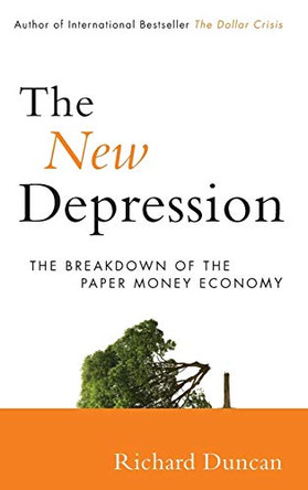 The New Depression: The Breakdown of the Paper Money Economy by Richard Duncan 9781118157794