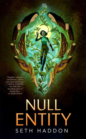 Null Entity by Seth Haddon 9781250365217