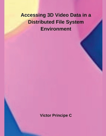 Accessing 3D Video Data in a Distributed File System Environment by Victor Principe C 9798227509260