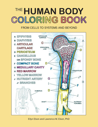 The Human Body Coloring Book: From Cells to Systems and Beyond by Coloring Concepts Inc. 9780063009752