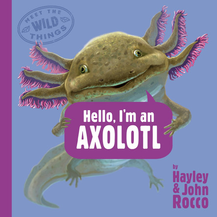 Hello, I'm an Axolotl (Meet the Wild Things, Book 4) by Hayley Rocco 9780593618219
