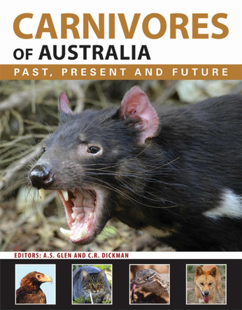 Carnivores of Australia: Past, Present and Future by Alistair S. Glen 9780643103108