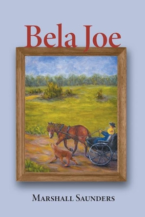Bela Joe by Margaret Saunders 9781039106789