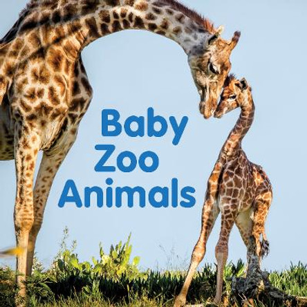 Baby Zoo Animals: Board book by New Holland Publishers