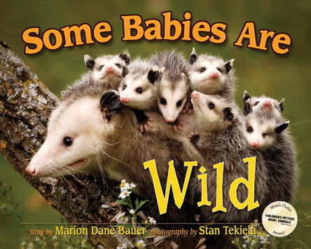Some Babies Are Wild by Marion Dane Bauer 9781591930846