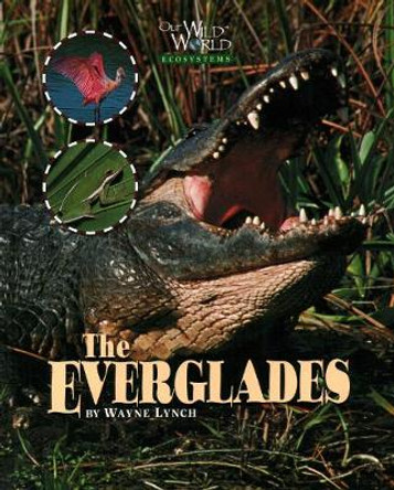 Everglades by Wayne Lynch
