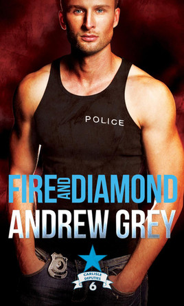 Fire and Diamond by Andrew Grey 9781644050255