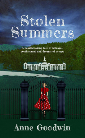 Stolen Summers by Anne Goodwin 9781739145002