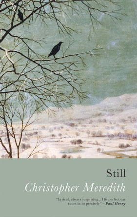 Still by Christopher Meredith 9781781726143