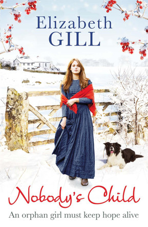 Nobody's Child: An orphan girl must keep hope alive by Elizabeth Gill 9781784299378
