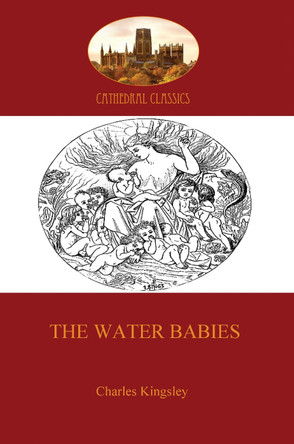 The Water Babies by Charles Kingsley 9781907523311