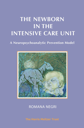 Aesthetic Conflict and its Clinical Relevance by Meg Harris Williams 9781912567300