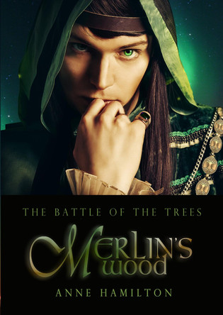 Merlin's Wood: Battle of the Trees by Anne Hamilton 9781925380088