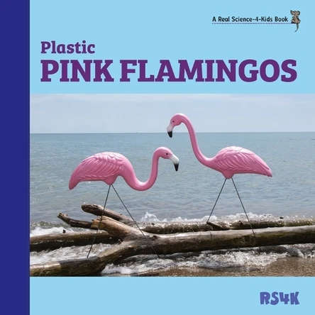 Rubber Rain Boots and Plastic Pink Flamingos by Rebecca Woodbury 9781950415151