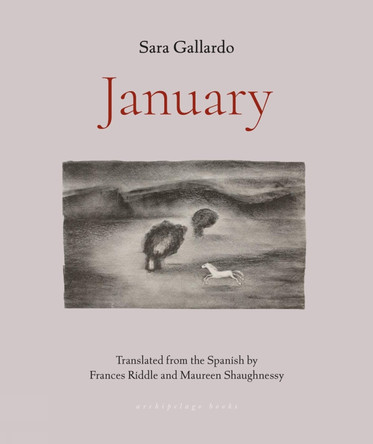 January by Sara Gallardo 9781953861641