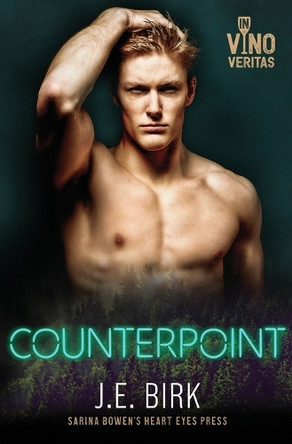 Counterpoint by J E Birk 9781954500679