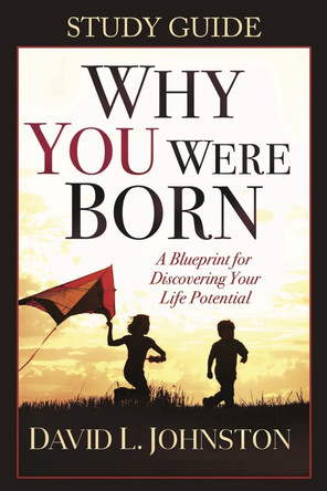 Why You Were Born Study Guide by David Johnston 9781954533196