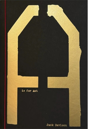A is for Ant Newspaper by Jack Davison 9781068686610