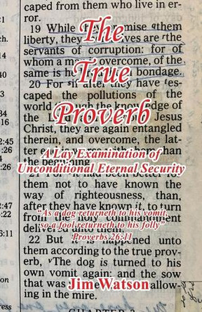 The True Proverb - A Lay Examination of Unconditional Eternal Security by Jim Watson 9781608628773