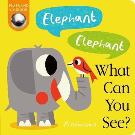 Elephant! Elephant! What Can You See? by Amelia Hepworth