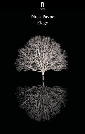 Elegy by Nick Payne 9780571329991