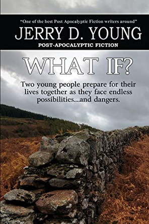 What If? by Jerry D Young 9780692452837