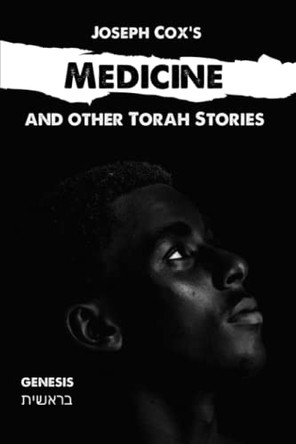 Medicine: and other Torah stories by Wouter Dreyer 9780976465959