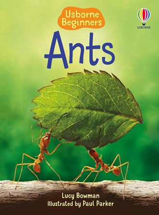 Ants by Lucy Bowman 9781835409763
