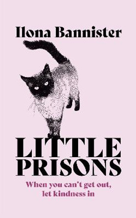 Little Prisons by Ilona Bannister