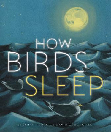 How Birds Sleep by David Obuchowski