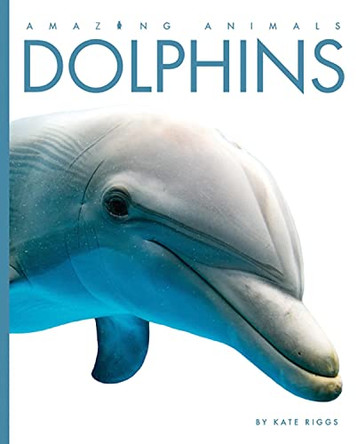 Dolphins by Kate Riggs 9781628327656