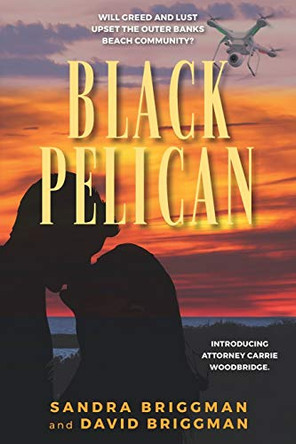 Black Pelican: Will Greed and Lust Upset the Outer Banks Community? by David Briggman 9781735186498