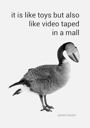 It Is Like Toys But Also Like Video Taped in a Mall by James Davies 9781915341044