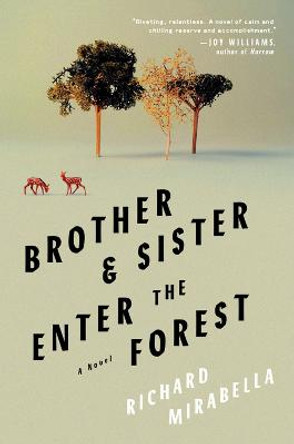 Brother & Sister Enter The Forest: A Novel by Richard Mirabella