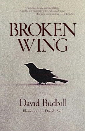 Broken Wing by David Budbill 9781582706870