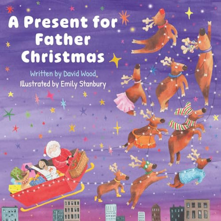 A Present for Father Christmas by David Wood 9781835745311