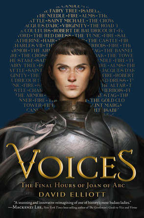 Voices: The Final Hours of Joan of Arc by David Elliott 9780358452089
