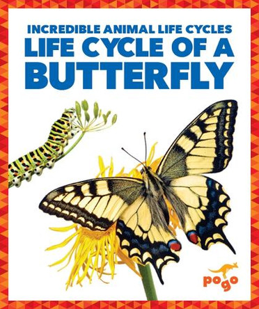 Life Cycle of a Butterfly by Karen Kenney 9781624968044