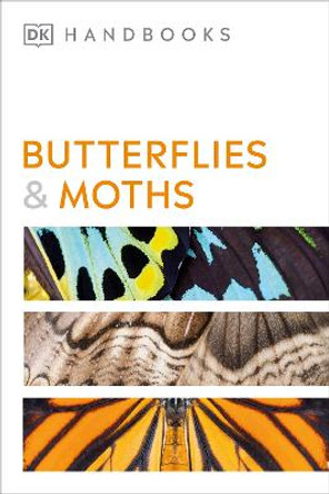 Butterflies and Moths by David Carter