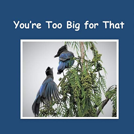 You're Too Big for That by Collin Anderson 9780578590844