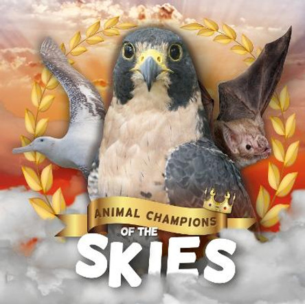 Skies by Madeline Tyler