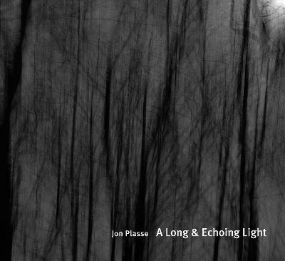 A Long and Echoing Light: Notes from a Pandemic by Jon Plasse