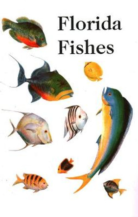 Saltwater Florida Fishes by Rube Allyn