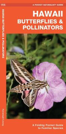 Hawaii Butterflies & Pollinators: A Folding Pocket Guide to Familiar Species by James Kavanagh